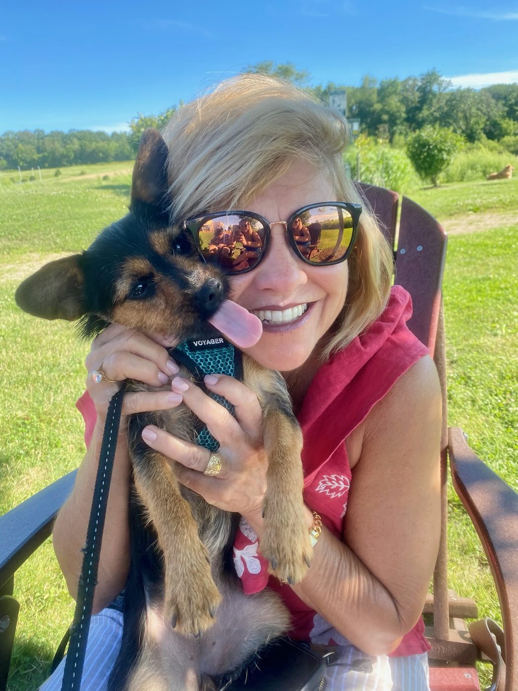 Sue in sunglasses hugging a puppy that is licking her cheek